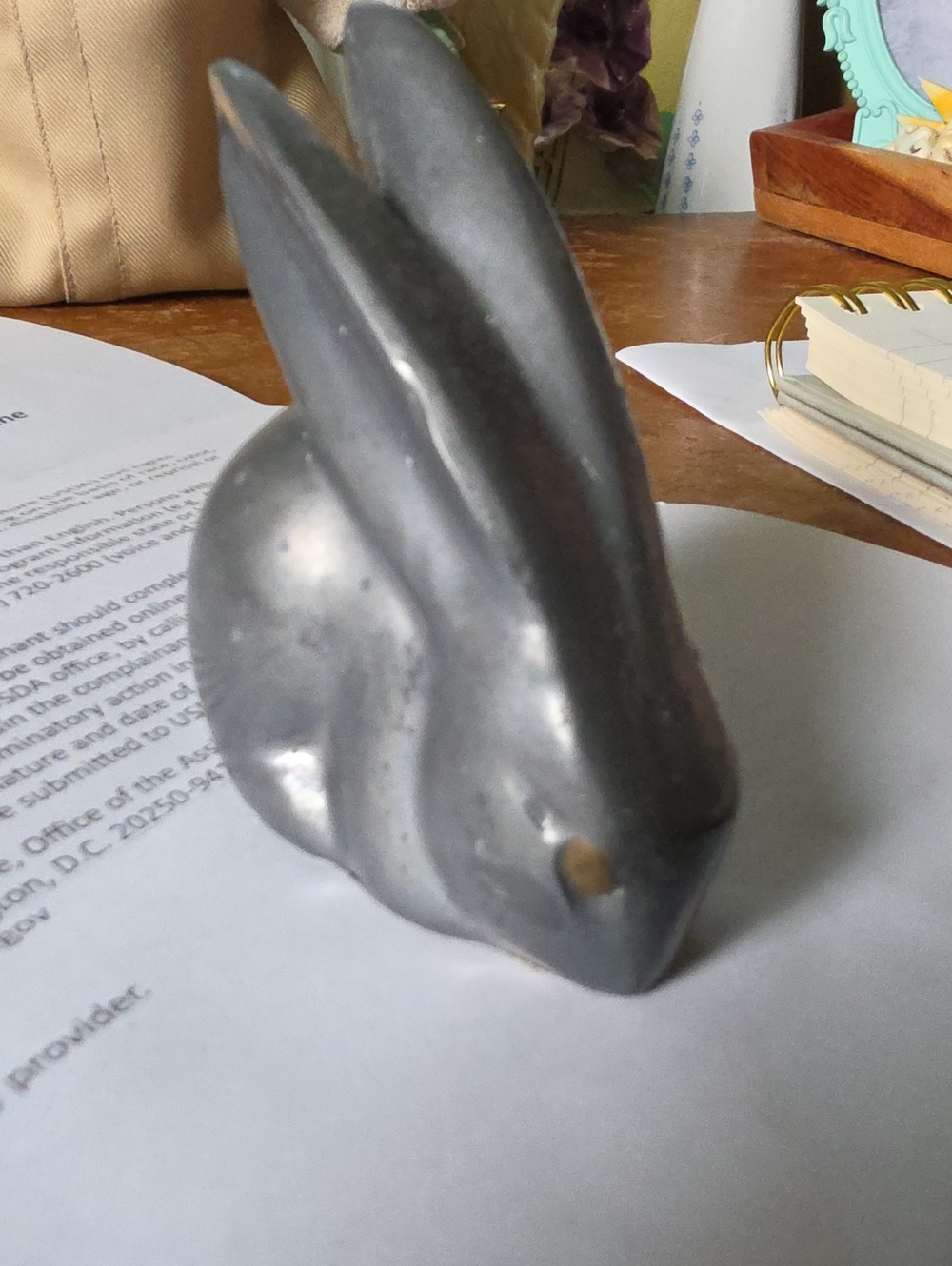 Rabbit - Picture 4 of 5